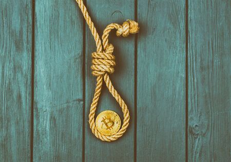 End of bitcoin. Coin bitcoin in the loop of the gallows.の写真素材
