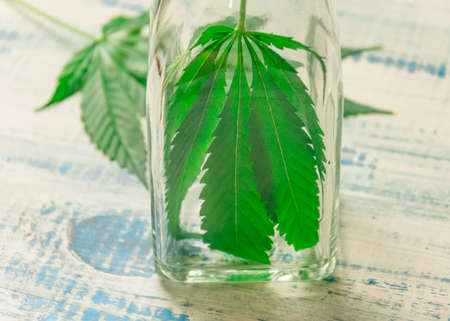 Elixir, tincture, essence of marijuana. The concept of medicinal properties and medical use of marijuana. Leaves of marijuana in a glass bottle on a wooden background.の写真素材