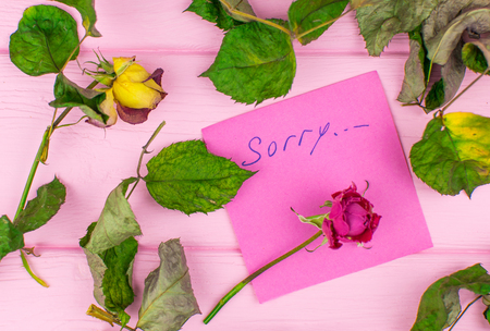 A paper with the inscription: Sorry. On a wooden background with a dry rose and leaves.の写真素材