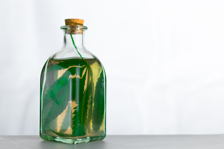 Infusion on the leaves of marijuana in a jar on a white background.の写真素材