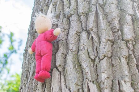 A voodoo doll hanging on a tree. An old rag doll.の写真素材