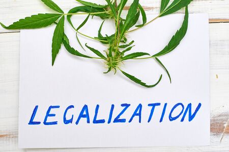Legalization word with leaf of marijuana, cannabis on a light background.の写真素材