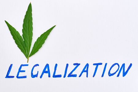 Legalization word with leaf of marijuana, cannabis on a light background.の写真素材