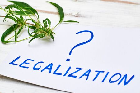 Legalization of marijuana question concept on a light background with cannabis leaf.の写真素材