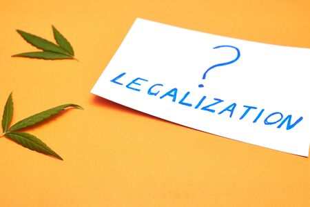 Legalization of marijuana question concept on a orange background with cannabis leaf.の写真素材
