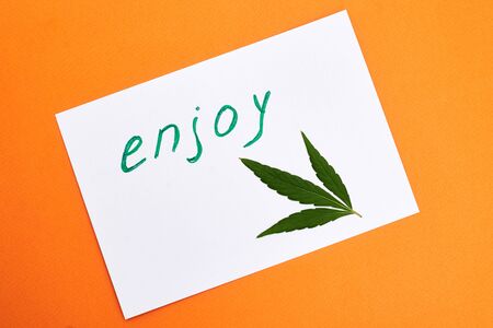 Word enjoy and leaf of marijuana, hemp on an orange background. Cannabis as a means of relaxation, enjoyment concept.の写真素材