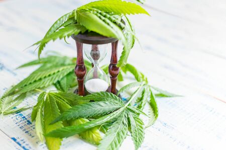 Marijuana and time. Leaves of marijuana and an hourglass on a wooden background.
