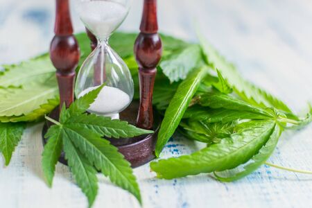 Marijuana and time. Leaves of marijuana and an hourglass on a wooden background.