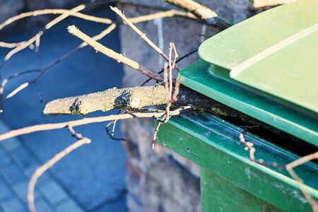 Tree branches thrown into the trash.の写真素材