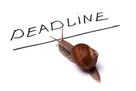 Deadline concept. The snail has crawled to the deadline. Isolated on white background.の写真素材
