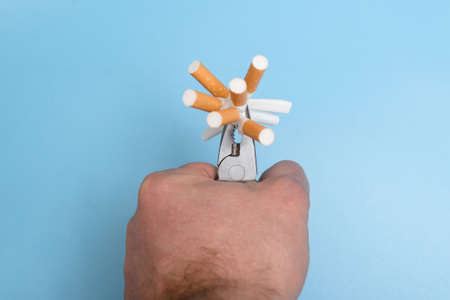 Quit smoking concept. Crumpled cigarettes clamped in pliers on a blue background. Willpower to give up a bad habit.の写真素材