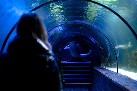 Woman in the aquarium. Tourist on an excursion in an underwater tunnel with fish.の写真素材
