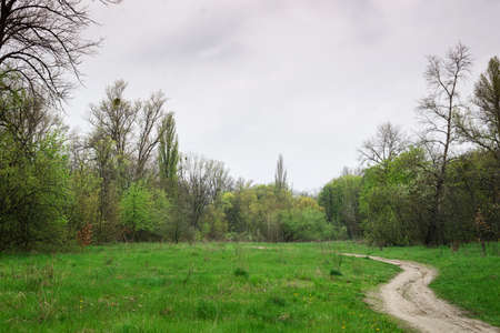 A winding dirt road in a green forest on a cloudy day.