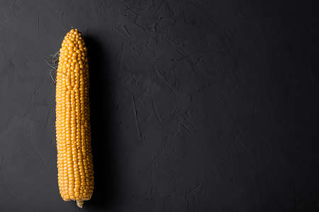 Peeled raw corn on a gray concrete background. Place for your text.の写真素材
