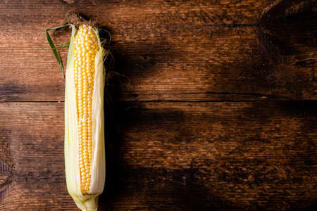Raw corn on a dark wooden background. Healthy food, vegetarianism concept. Place to insert text.の写真素材