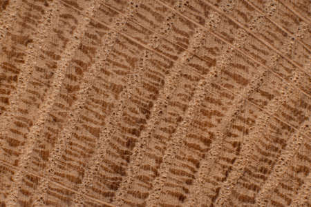 Texture of old wood close-up. Can be used as a background.