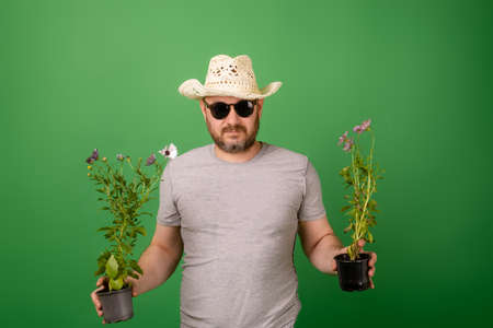 A male gardener, florist in a hat and sunglasses holds fresh flowers in pots on a green background....