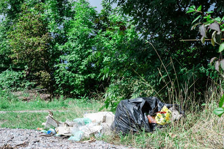 Mountain of plastic debris under a tree in a park or forest.の写真素材