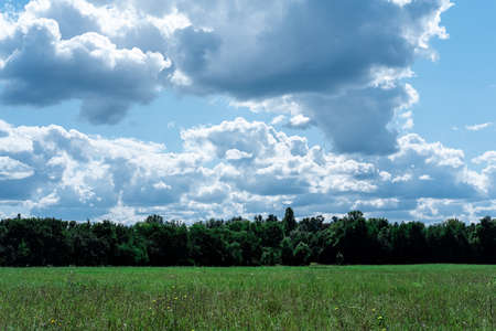 Green field, forest and blue sky with clouds.