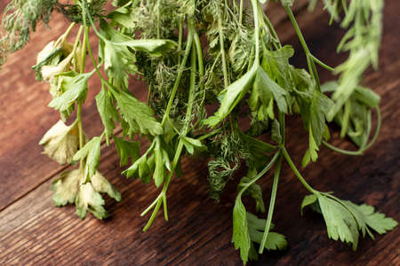 Perishable, fading, drying greens dill parsley on a wooden background.の写真素材