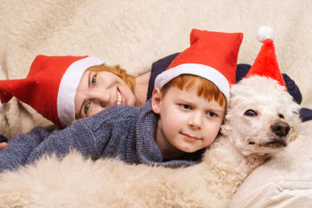 Mom, son and dog in New Year's hats are smiling during the Christmas holidays.の写真素材