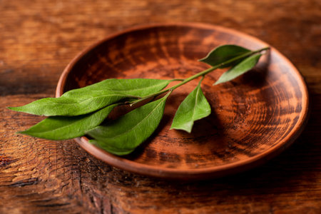 Bay leaves on a branch. on a clay plate. wooden background.の写真素材