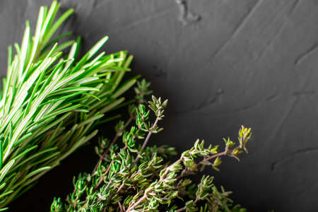 Green stems of rosemary, thyme on a black background.の写真素材