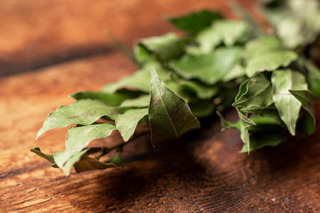 Branch of green bay leaves. Rustic wooden background. food background. kitchen spice.