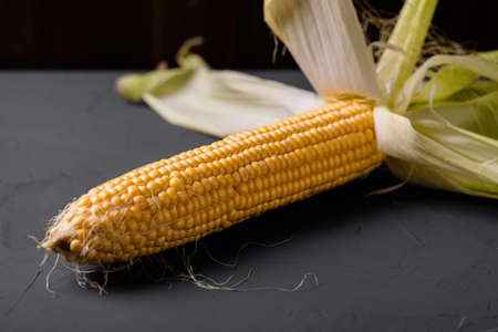 Peeled raw corn on a gray concrete background.の写真素材