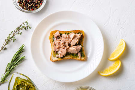 Toast with chimichurri sauce and tuna on a white plate. white background. minimalist design. Useful snack.の写真素材
