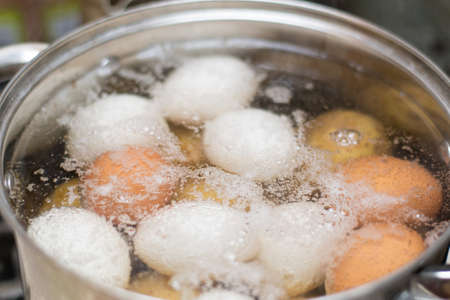Boiling chicken eggs in the pan.の写真素材