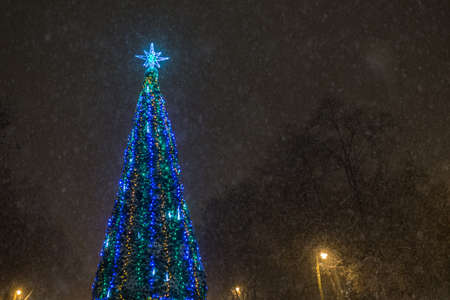 Street garlands decorated Christmas tree glowing at night in the park during a snowfall.の写真素材
