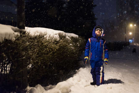 Park alley with falling snow at night.の写真素材