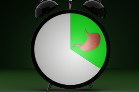 Interval nutrition concept. Alarm clock with a stomach on the dial and a dedicated interval. 3D rendering.の写真素材