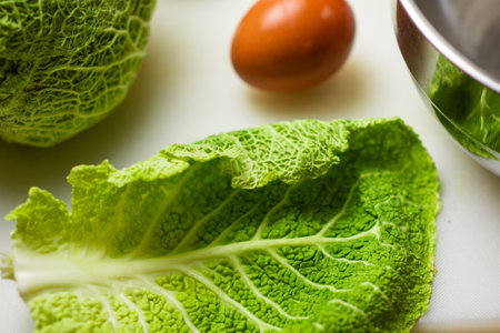 Savoy leaf cabbage and chicken egg. salad preparation. Vegetarian recipe.の写真素材