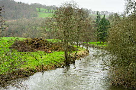 river in the countryside. The shores are covered with green grass and trees. A hill is visible in the distance.の写真素材