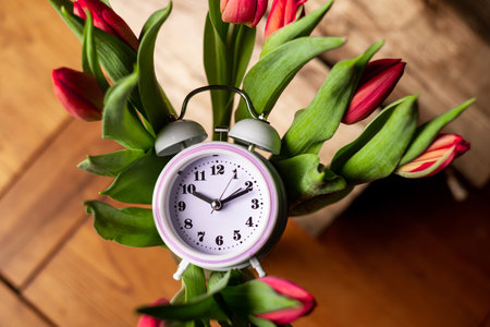Alarm clock in tulip flowers on wooden background. Concept of time as gift, congratulations, onset of spring.の写真素材