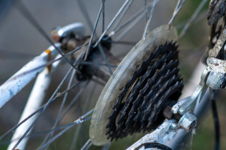 Bicycle stars of a back wheel. Bicycle repair and maintenance. gear change stars.の写真素材