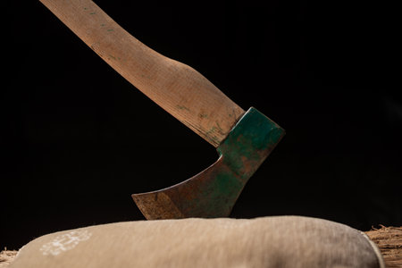 Ax on black background in pillow. woodcutter tool.の写真素材