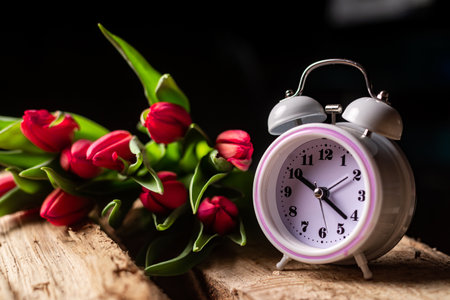 Tulips and alarm clock. Time as gift, greeting card, onset of spring conceptの写真素材