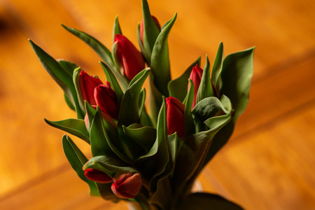 Bouquet of tulips on a yellow background. holiday concept.の写真素材