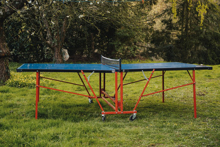 Table tennis table on green grass. Folding table for playing small tennis. Active leisure.