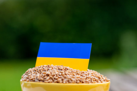 Ukrainian grain export concept. A cup with grains and the flag of ukraine on a green background.の写真素材