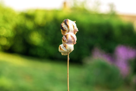 Grilled marshmallows on a wooden stick on a green background.の写真素材