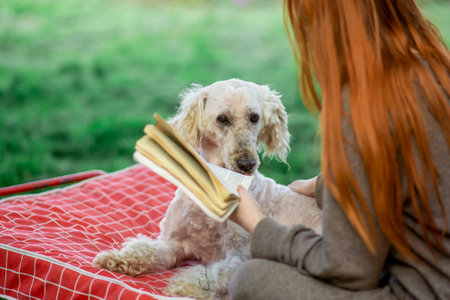 Girl reads a book with an outdoors dog. Pleasant leisure, holidays, rest.の写真素材