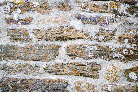 Old stone wall with mold. can be used as background.の写真素材