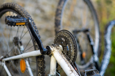 Bicycle stars of a back wheel. Bicycle repair and maintenance. gear change stars.の写真素材