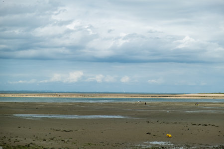 A desolate ocean shore on a cloudy day during the cold season, scattered seashells on the beachの写真素材