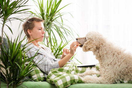 Engulfed in her tablet, a middle-aged woman with short hair lounges in bed all day with her dog, eating a sandwich. Lethargy, life slowdown, idlenessの写真素材