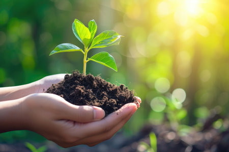 Growth and sustainability, a symbol of environmental care in a single sapling.の素材